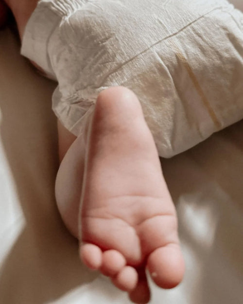 Fralda de Bambu Pato Jack C/ 40un